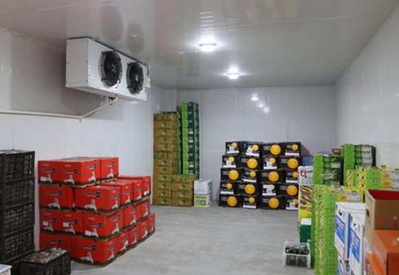 嘉興蔬菜氣調(diào)庫定做