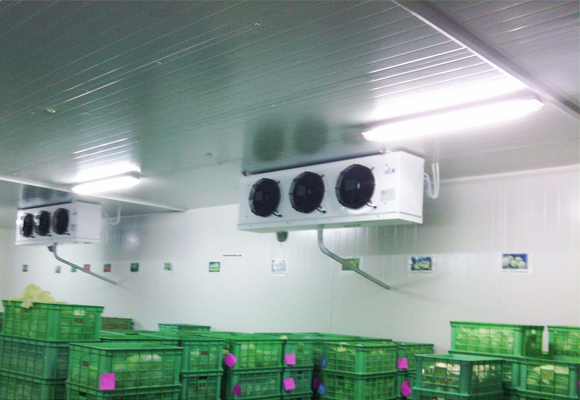 嘉興水果氣調(diào)庫安裝設計