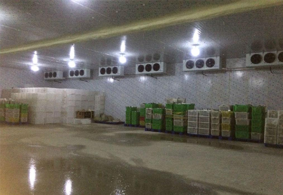 嘉興果蔬氣調(diào)庫安裝