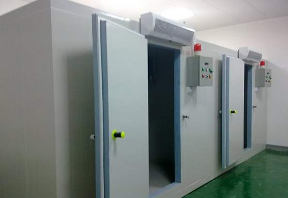 嘉興小型鮮花冷庫