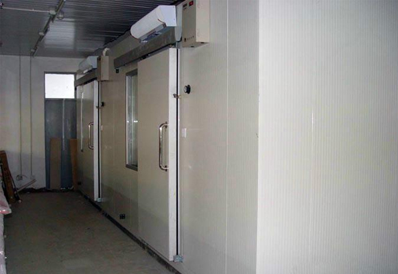 嘉興工業(yè)雙溫凍庫安裝