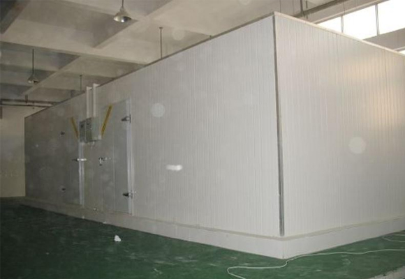 嘉興肉類(lèi)凍庫(kù)設(shè)計(jì)安裝