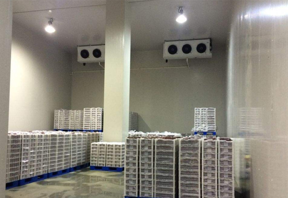 水果氣調(diào)庫(kù)安裝工程