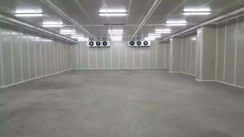 大型氣調(diào)庫(kù)設(shè)計(jì)安裝